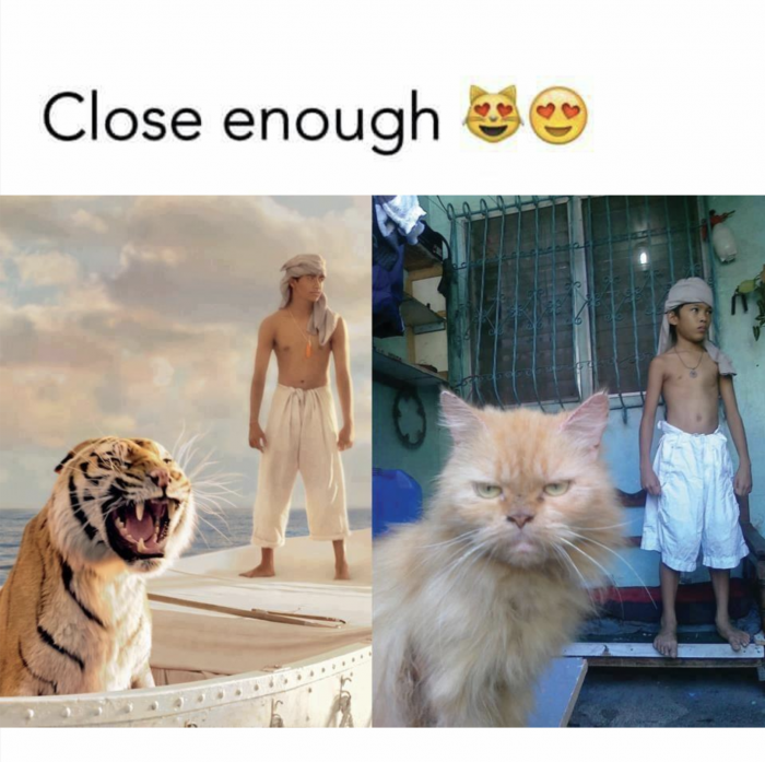 Close enough 😻😍